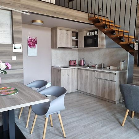 Apartmany Etenia Kadan Bagian luar foto